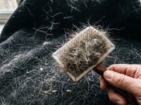 Scratchy wire slicker brush with flying loose pet hair